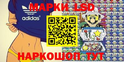 мяу мяу мука Кандалакша