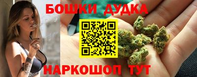 мяу мяу мука Кандалакша