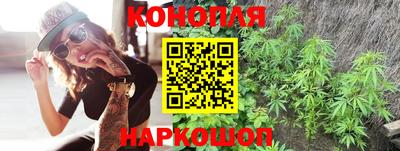 гидропоника Канаш