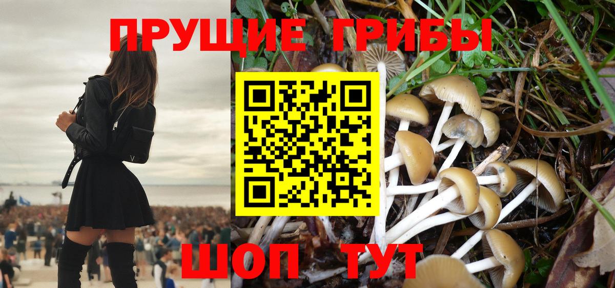 закладки  Вход с VPN  Невинномысск  Галлюциногенные грибы Cubensis 