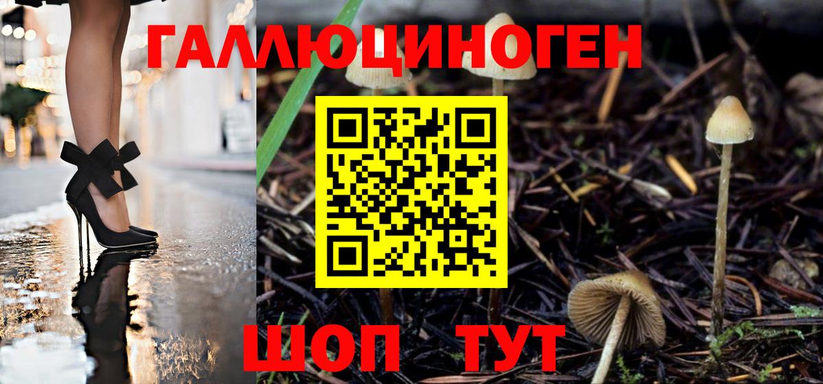Псилоцибиновые грибы мухоморы Невинномысск